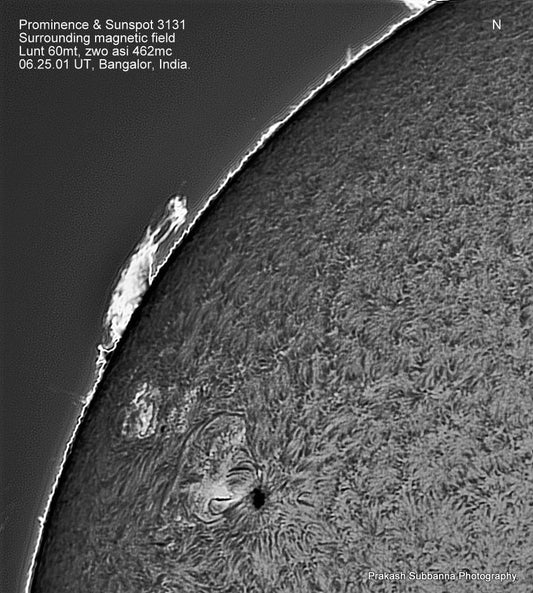 Sunspots and Prom NEQ
