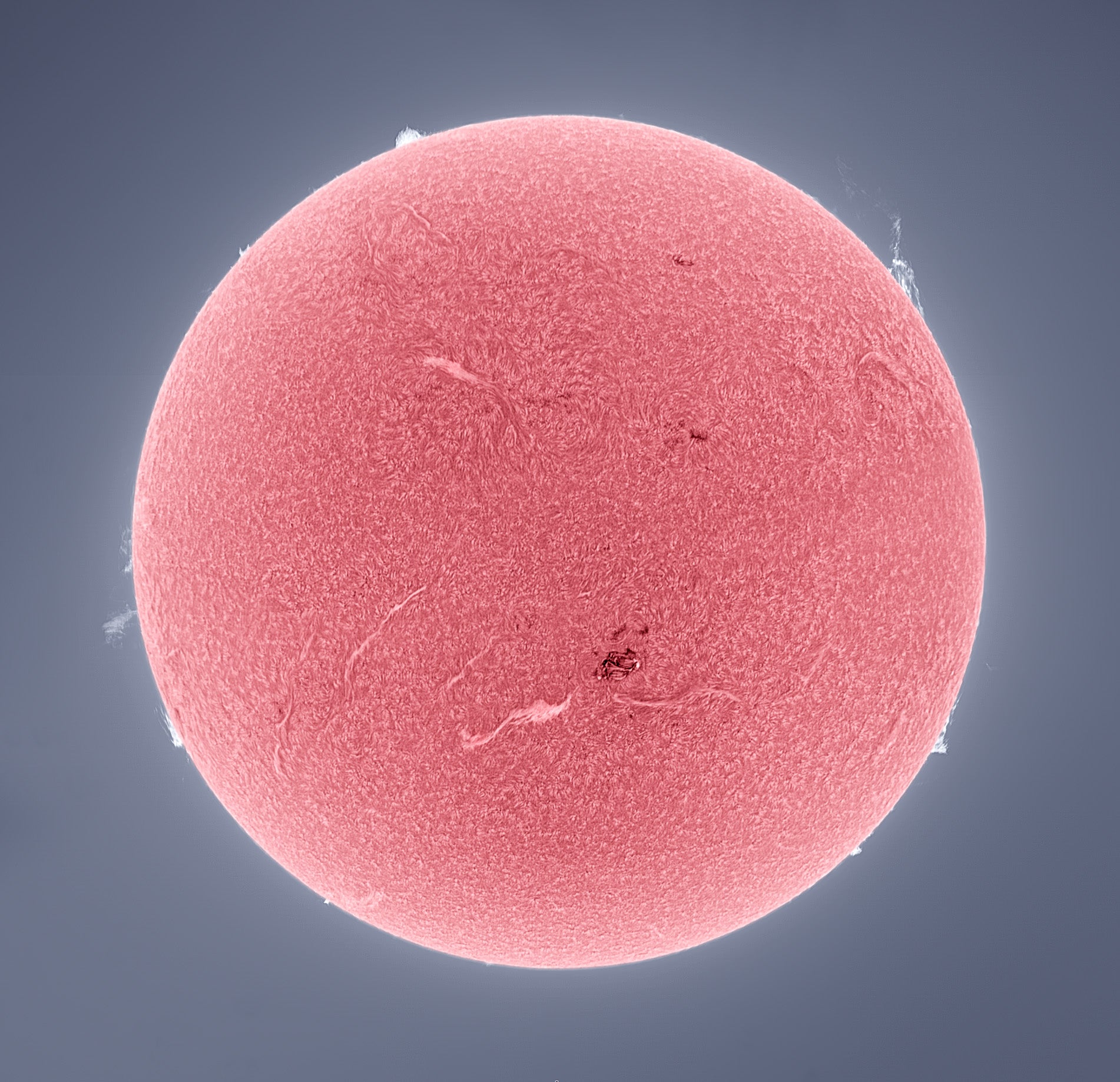 Full Disk (Tonally Inverted Chromosphere) Sun – Lunt Solar Systems