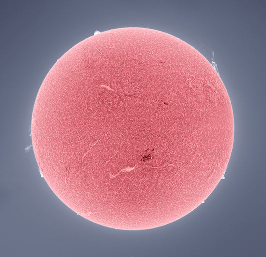 Full Disk (Tonally Inverted Chromosphere) Sun
