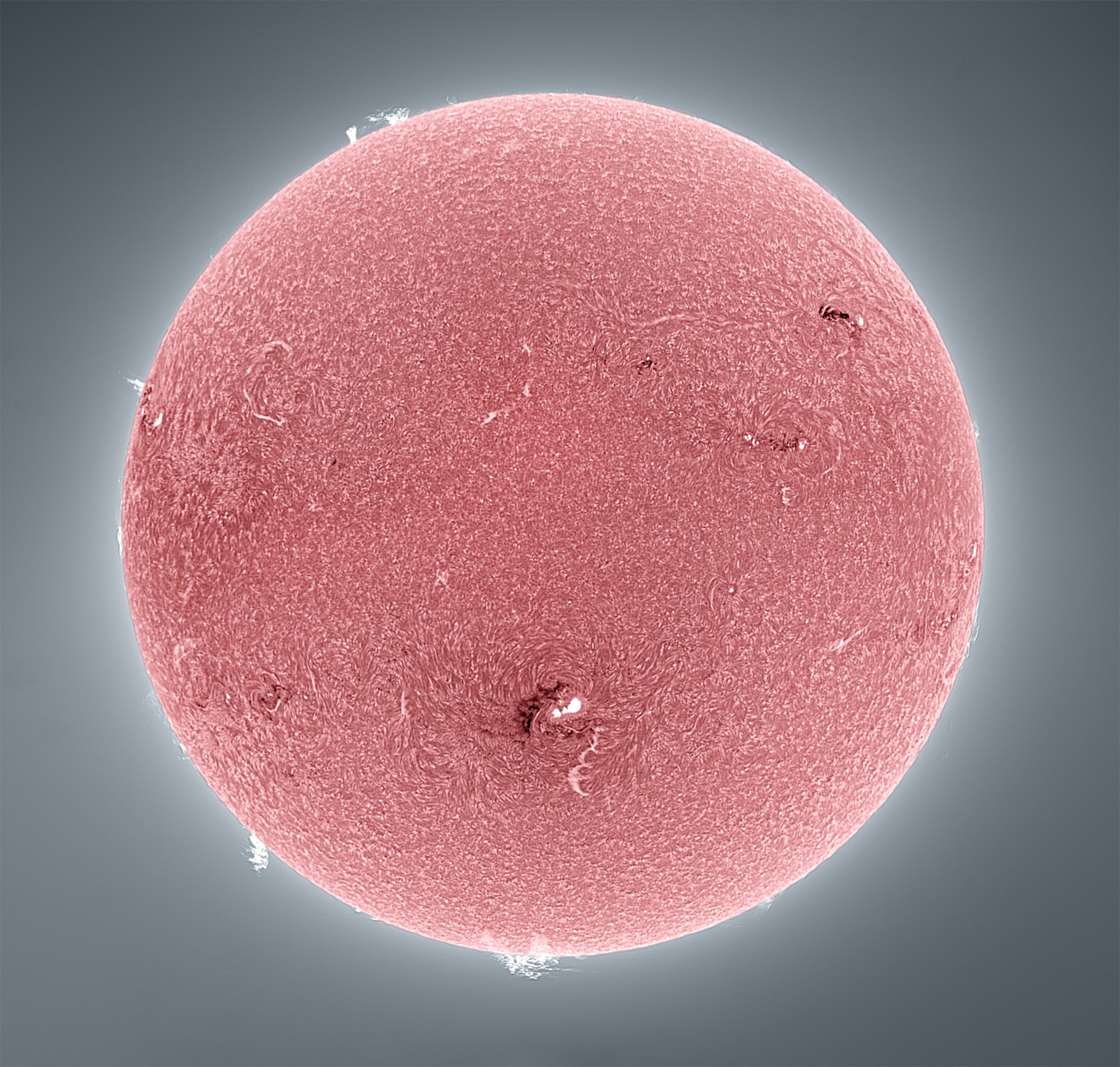 Full Disk (Tonally Inverted Chromosphere) Sun – Lunt Solar Systems