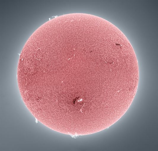 Full Disk (Tonally Inverted Chromosphere) Sun