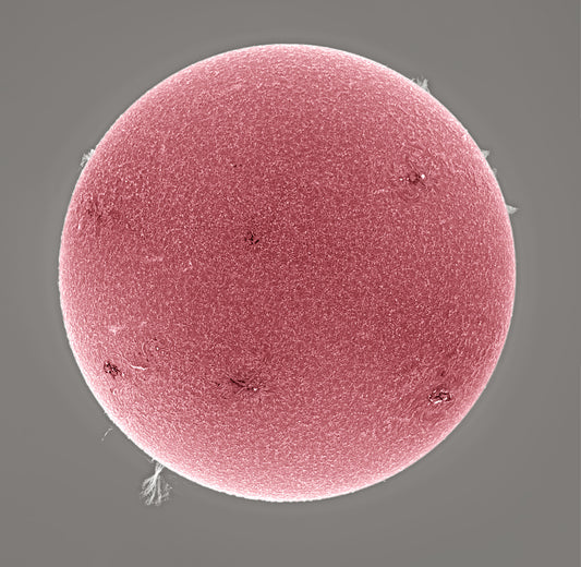 Full Disk &amp; Tree Prominence