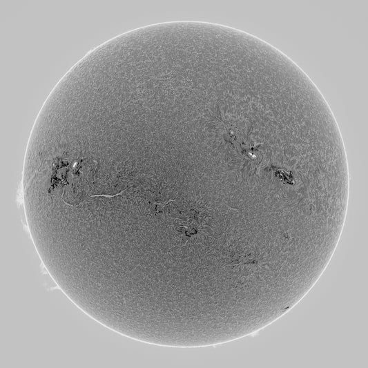 Full Disk in Greyscale