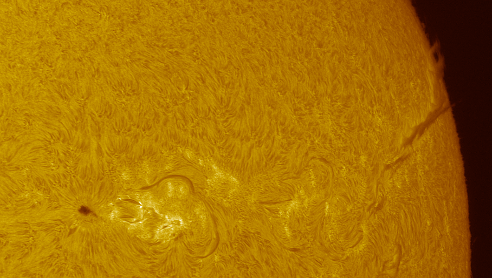 Another Great Shot of a Filament to Limb Flare – Lunt Solar Systems