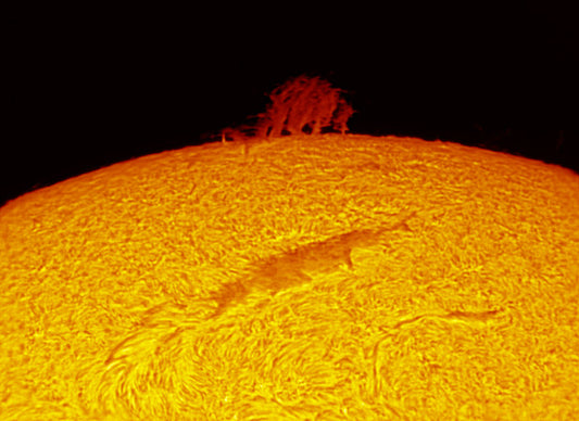 A close duo of a nice prominence and a filament