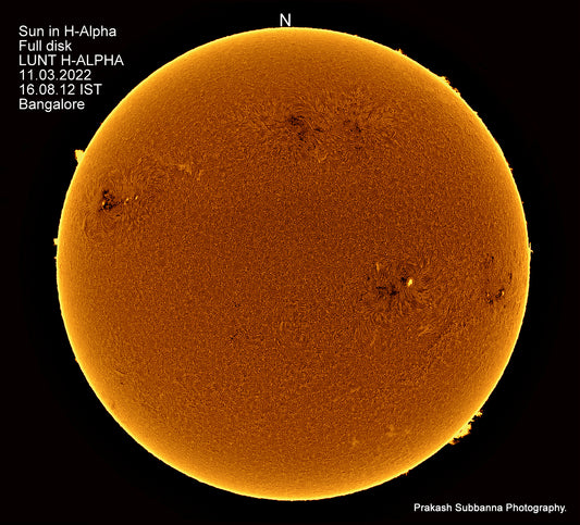 Sun in H-Alpha. Full Disk