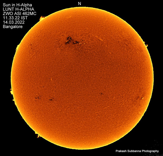 Sun in H-Alpha. Full disk.