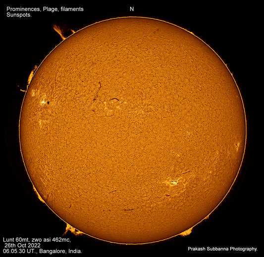 Full Disk Beauty - Prominences, Plage, Filaments, Sunspots