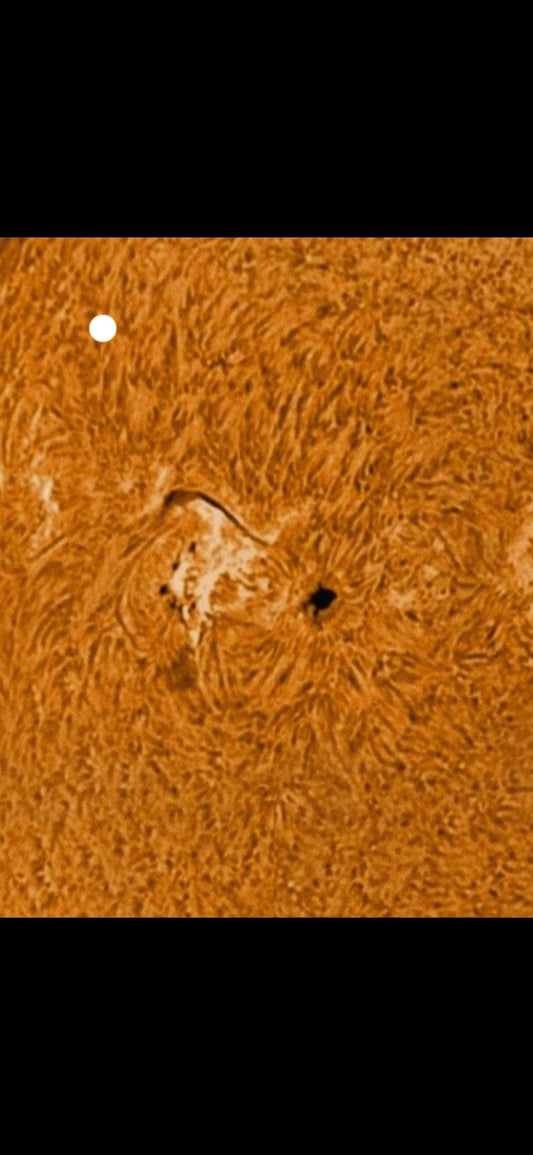 Sunspot