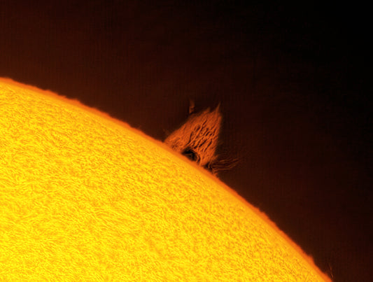 A Flame on the Edge of the Sun