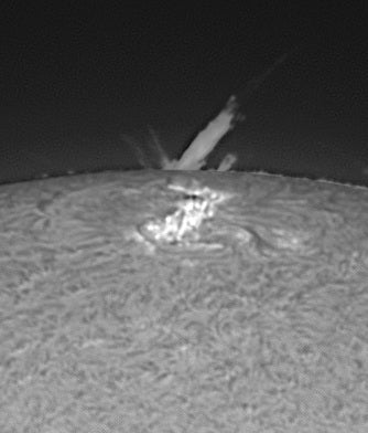 Active region and prominence