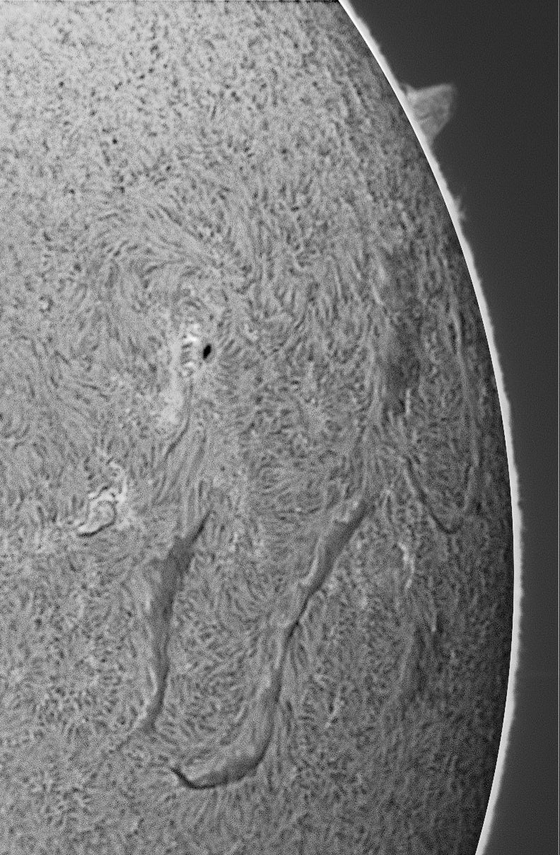 Huge filaments – Lunt Solar Systems