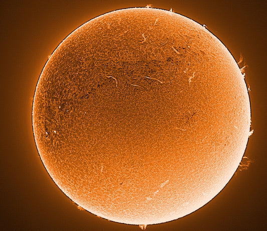 A galore of prominences!