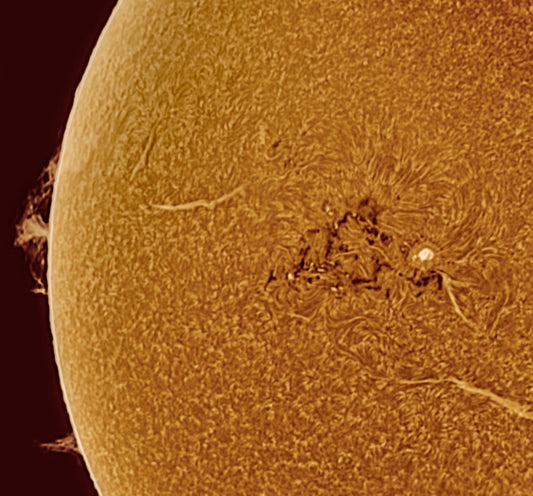 AR2978 and proms