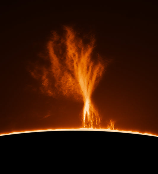 Tree Prominence