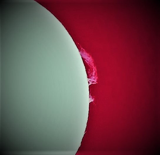 User gallery image